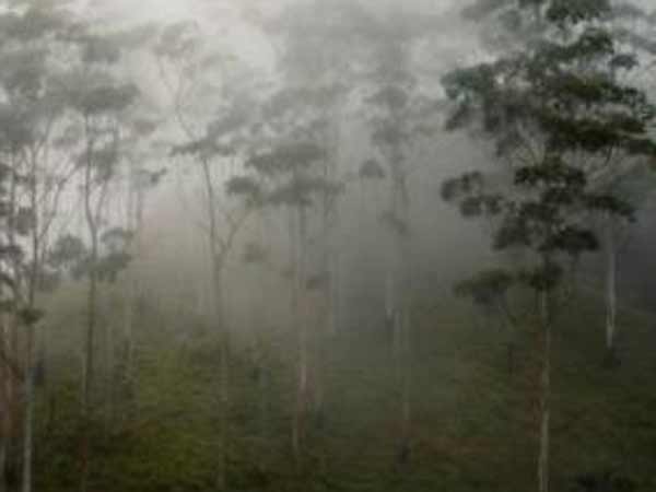 கண்ணை மறைத்த பனி