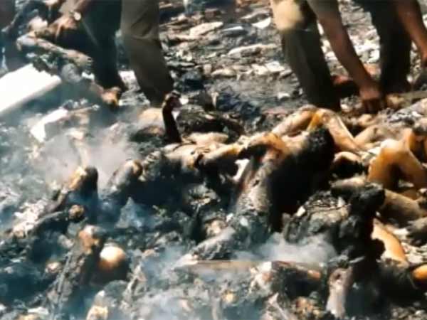 5 ஆண்டுகள் சிறை 