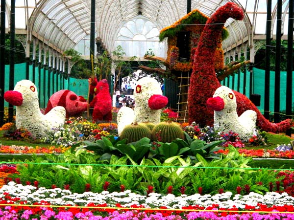 200th flower show at Lalbagh will commence of August 7 200th flower show at Lalbagh will commence of August 7