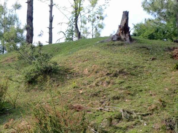 5 கி.மீ நடக்கவேண்டும்... 5 கி.மீ நடக்கவேண்டும்...