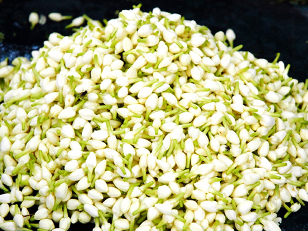 மல்லி, கனகாம்பரம்...