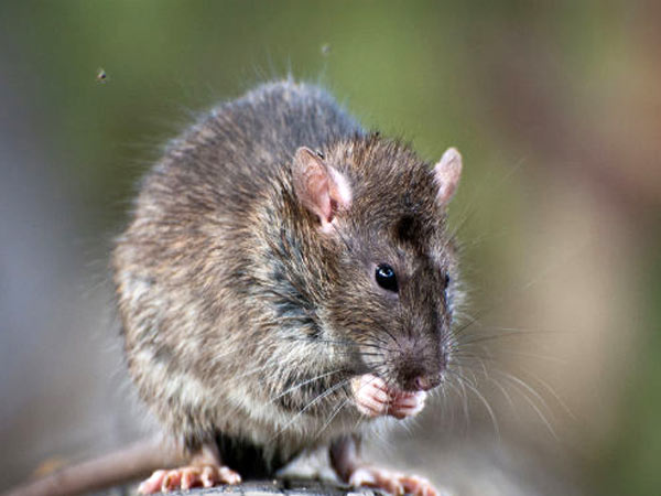 இதெல்லாம் சாதாரணம்