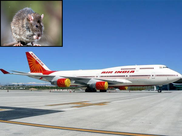 பலமுறை ரத்து