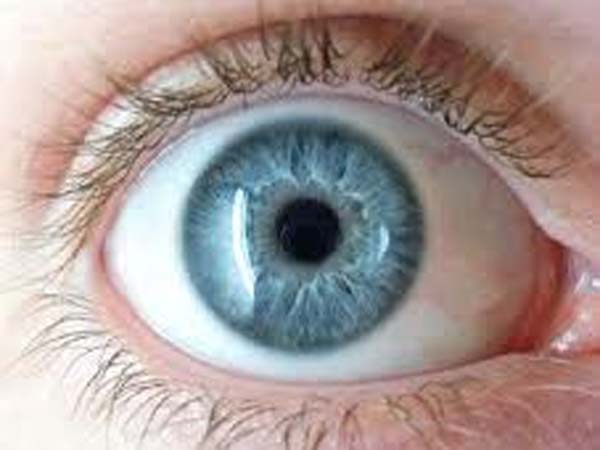 உடல் உறுப்பு தானம்: