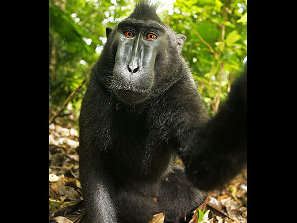 டிரிக்கரை அழுத்தினால் ஆச்சா...