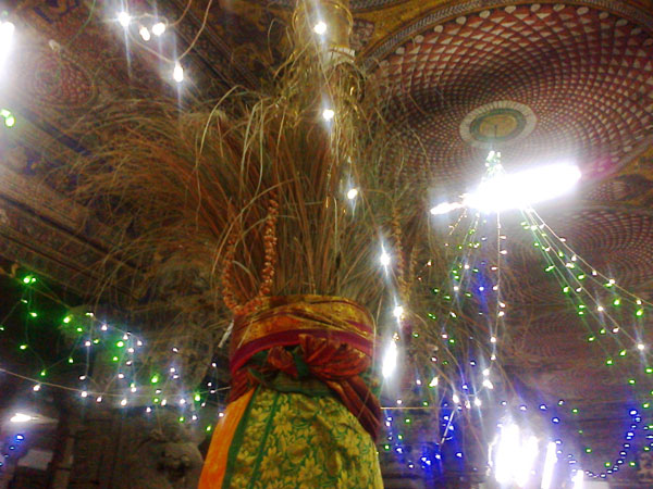 ஆடித்தபசு கொடியேற்றம்