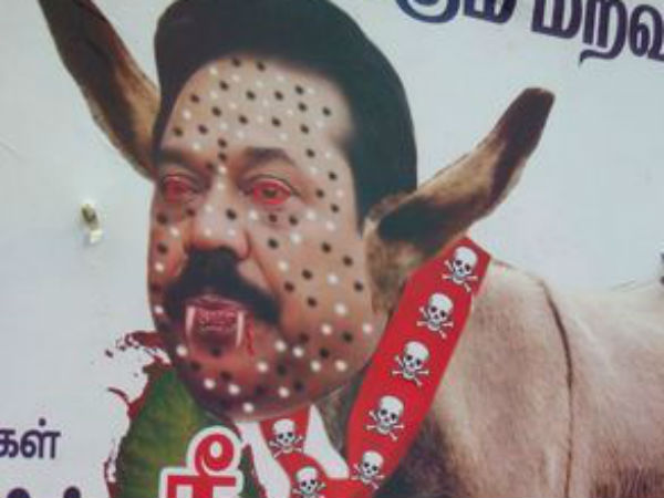 கழுதையுடன் கரும்புள்ளி செம்புள்ளி