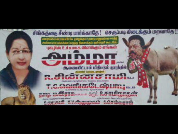 சிங்கத்தைச் சீண்டினா செருப்படிதான்