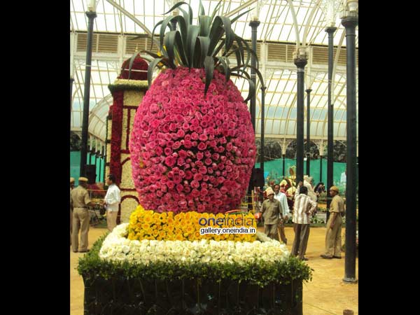 அம்மாடி... அன்னாசி