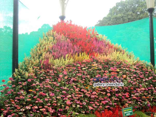 மலர் மலை