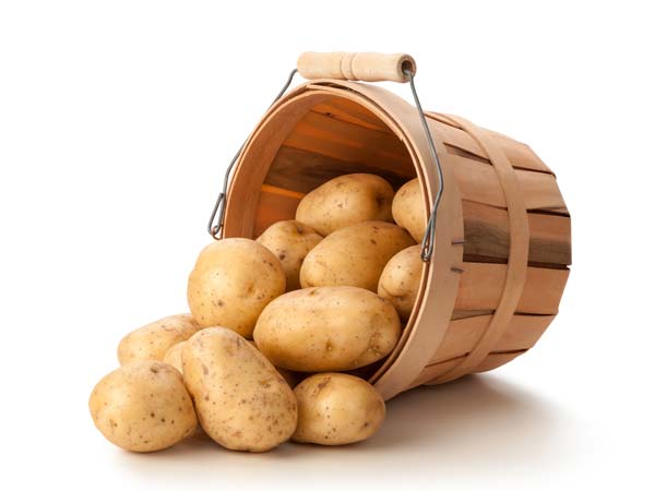 உருளைக்கிழங்கு லாரிகள்