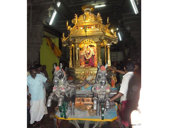 வலம் வந்த அம்மன்