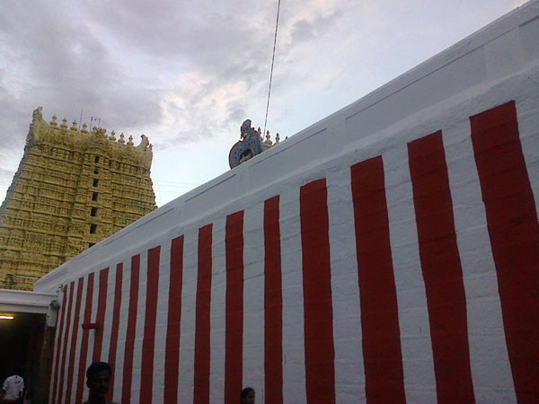 தரிசனம் கொடுத்த சங்கர நாராயணர்