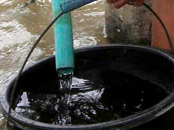 6 நாட்களுக்கு ஒரு முறை: