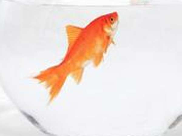 நீர்மட்டம் குறைவு: