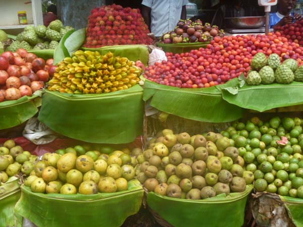 மருத்துவ குணம் கொண்ட பழங்கள்