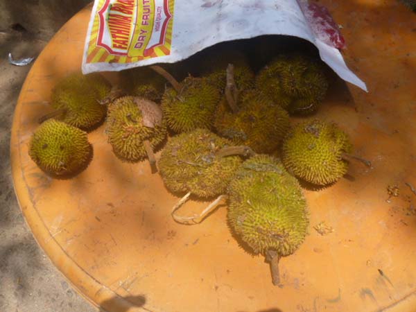 துரியன் பழங்கள்