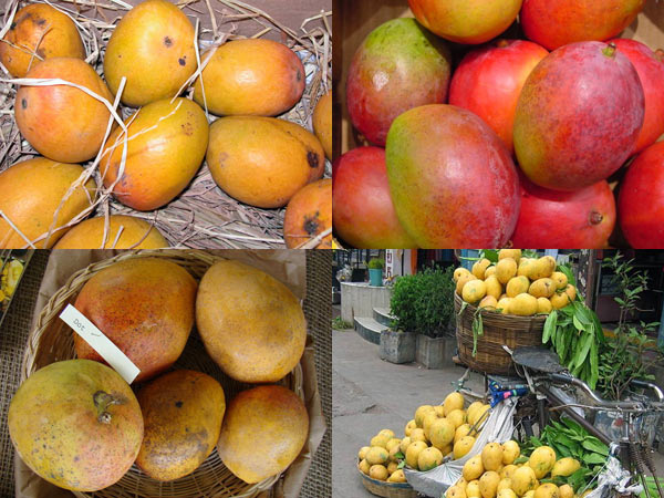 மாம்பழங்கள்