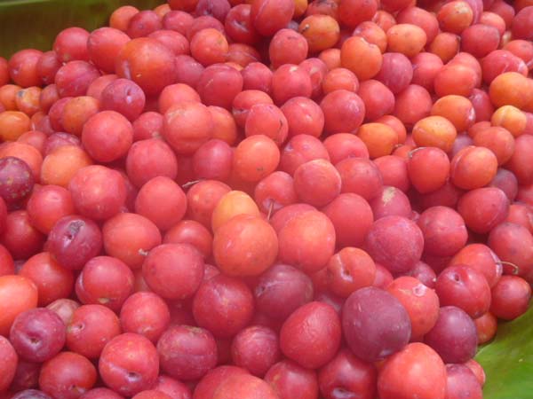 அமோக விற்பனை