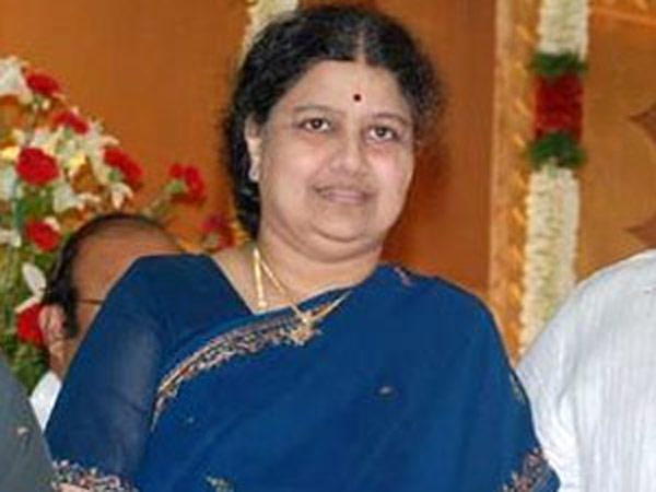 காளன் பயிரிட்ட சசிகலா
