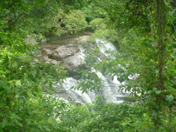 விஐபி அருவி 