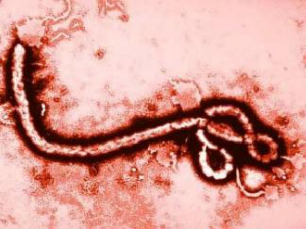 லைபீரியாவில் அதிக பலி