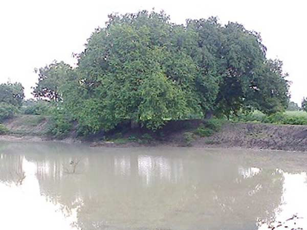 நிலத்தடி நீரைக் காணலியே நிலத்தடி நீரைக் காணலியே