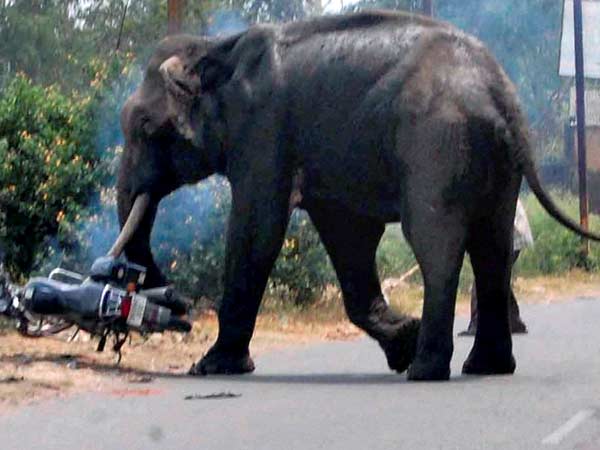 சந்தேகம்....