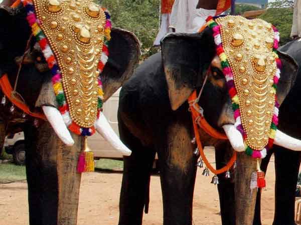 யானைகளுக்கு அலங்காரம்
