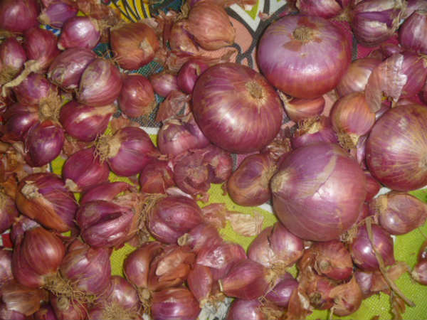 சாம்பார் வெங்காயம்