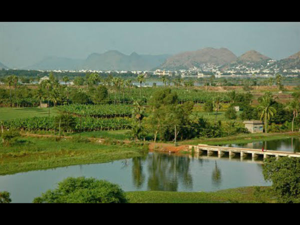 செழுமையான விவசாய பூமி