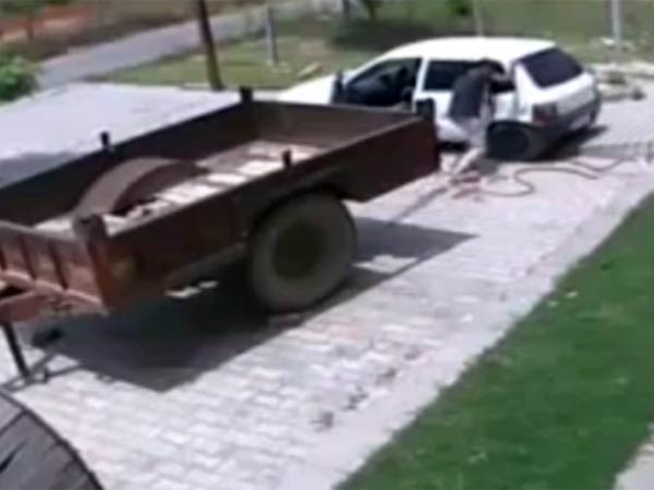 பால் பண்ணையில்