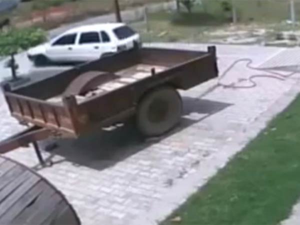 பசு வதை சட்டவிரோதம்