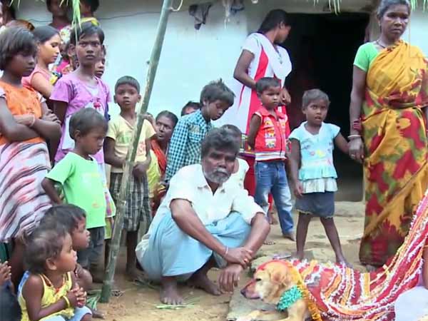 வினோத சம்பவங்கள்
