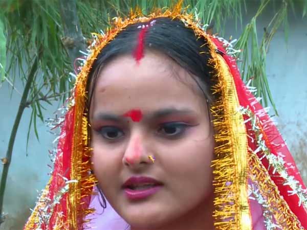 நாயுடன் வாழ்க்கை 