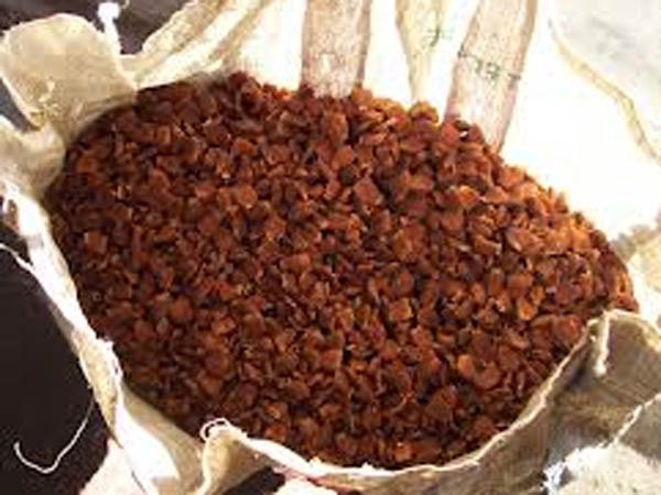 வெயிலில் இருந்து பாதுகாப்பு