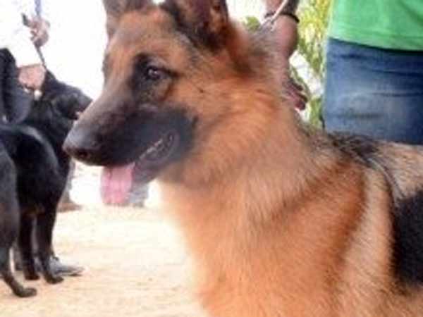 சென்னையிலிருந்து 300