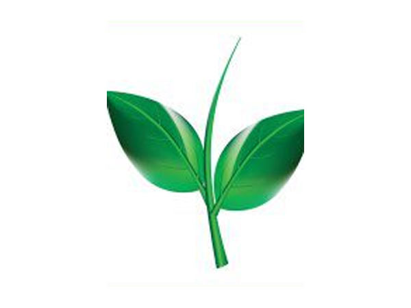 வெற்றி பெற்ற அதிமுகவினர்