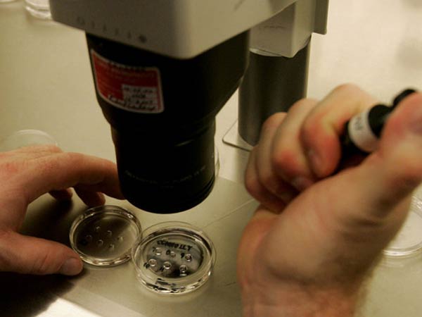 மேலும் விரிவாக்க திட்டம்...