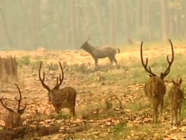 கொட்டும் கனமழை: