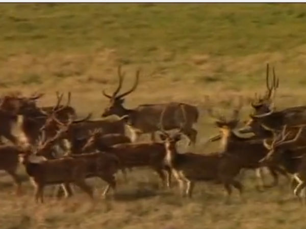 பயணிகள் மகிழ்ச்சி: