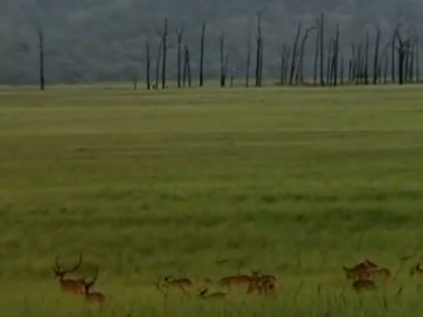 சமூக ஆர்வலர்களின் கவலை: