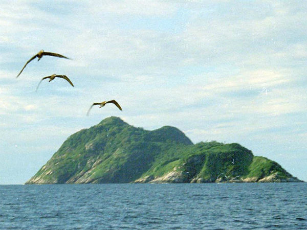 மனிதர்களுக்கு தடை