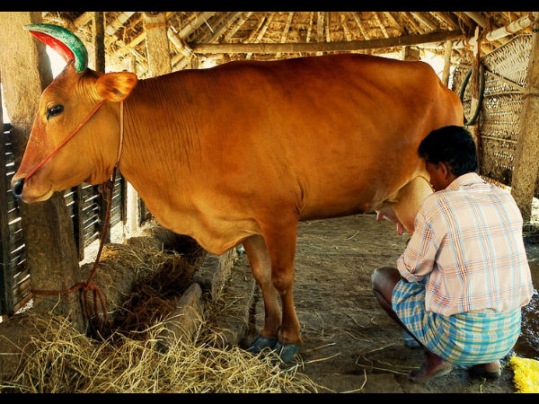 புறக்கணிப்பு