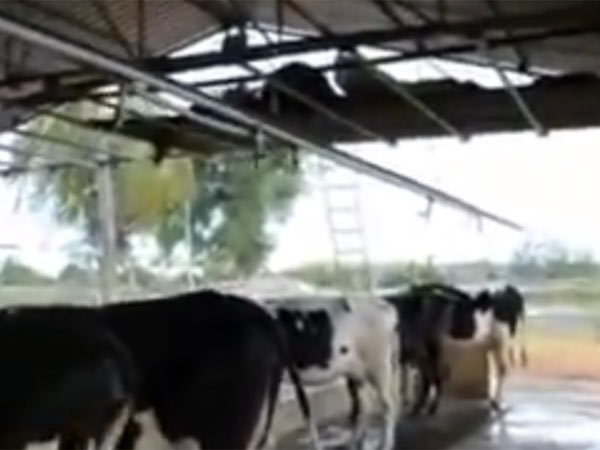 தனியாருக்கு விற்பனை