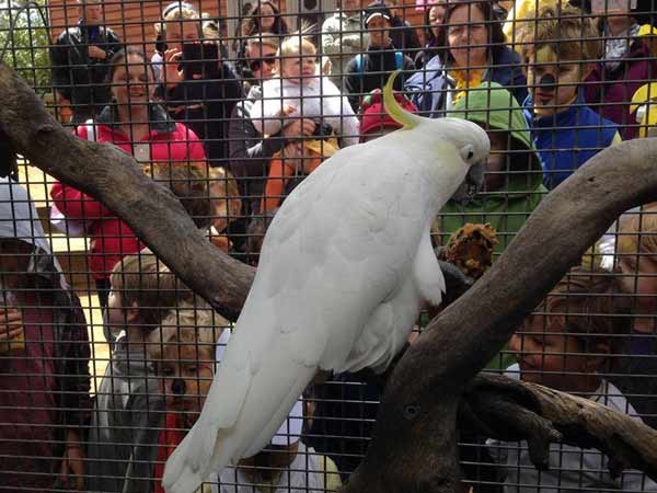 செஞ்சுரி போட்டு சாதனை: செஞ்சுரி போட்டு சாதனை: