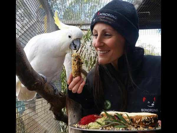 அதிகபட்சமே 70 தான்: அதிகபட்சமே 70 தான்: