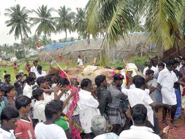 அப்புவின் மரணம் கூறும் பாடம்