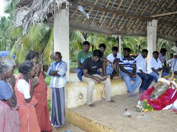 மிருகங்களிடமும் மனித நேயம்