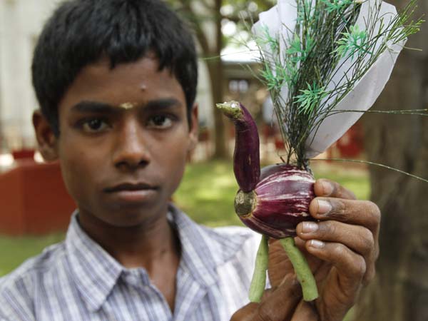 கத்தரி மயில்...